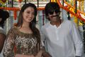 Tamanna, Ravi Teja @ Bengal Tiger Movie Opening Stills