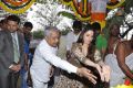 Bengal Tiger Movie Opening Stills