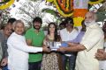 Bengal Tiger Movie Opening Stills