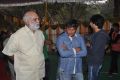 Bengal Tiger Movie Opening Stills