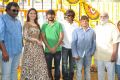 Bengal Tiger Movie Opening Stills