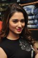 Actress Tamanna @ Bengal Tiger Movie Team at Spykar Store Photos