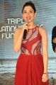 Tamannaah @ Bengal Tiger Platinum Disc Function Stills