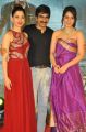 Tamannaah, Ravi Teja, Rashi Khanna @ Bengal Tiger Platinum Disc Function Stills