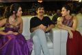 Rashi Khanna, Ravi Teja, Tamanna @ Bengal Tiger Triple Platinum Disc Function Stills