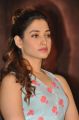 Actress Tamanna @ Bengal Tiger Movie success Meet Stills