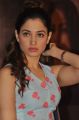 Actress Tamanna @ Bengal Tiger Movie success Meet Stills