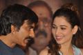 Ravi Teja, Tamanna @ Bengal Tiger Movie Success Meet Stills