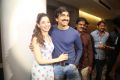 Tamanna, Ravi Teja @ Bengal Tiger Movie Success Meet Stills