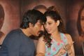 Ravi Teja, Tamanna @ Bengal Tiger Movie Success Meet Stills