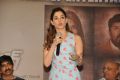 Actress Tamanna @ Bengal Tiger Movie Success Meet Stills