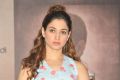 Actress Tamanna @ Bengal Tiger Movie Success Meet Stills