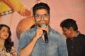 Bengal Tiger Video Songs Launch Stills