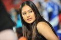 Nikesha Patel @ Bengal Tigers Vs Karnataka Bulldozers