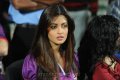 Actress Riya Sen @ Bengal Tigers Match