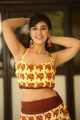 Heroine Harshitha Panwar Wearing yellow and brown printed crop top and long skirt