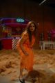 Actress Kiran Rathod in Bhaaja Bhajantreelu Movie Hot Spicy Photos