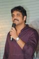 Actor Nagarjuna @ Bhai Movie Audio Launch Stills