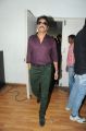 Actor Nagarjuna @ Bhai Movie Audio Launch Stills