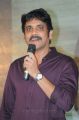 Actor Nagarjuna @ Bhai Movie Audio Launch Stills