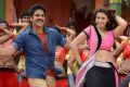 Nagarjuna, Richa Gangopadhyay in Bhai Movie Hot Photos