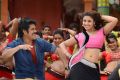 Nagarjuna, Richa Gangopadhyay in Bhai Telugu Movie Hot Photos