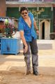 Actor Nagarjuna in Bhai Movie Photos