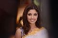 Actress Richa Gangopadhyay in Bhai Movie Stills