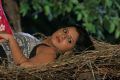 Bhaja Bhajantrilu Movie Actress Keerthi Chawla Hot Stills