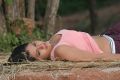 Bhaja Bhajantrilu Movie Actress Tripura Hot Stills