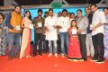 Bhale Bhale Magadivoy Movie Audio Launch Stills