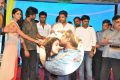 Bhale Bhale Magadivoy Movie Audio Launch Stills