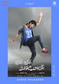 Actor Nani in Bhale Bhale Magadivoy Movie Audio Launched Posters