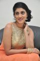 Dhanya Balakrishna @ Bhale Manchi Roju Movie Audio Launch Stills