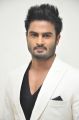 Sudheer Babu @ Bhale Manchi Roju Movie Audio Launch Stills