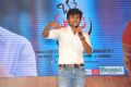 Bhale Manchi Roju Movie Audio Launch Stills