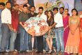 Bhale Manchi Roju Movie Audio Launch Stills