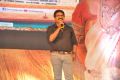 Bhale Manchi Roju Movie Audio Launch Stills