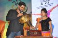 Bhale Manchi Roju Movie Audio Launch Stills