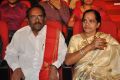 Bhale Manchi Roju Movie Audio Launch Stills