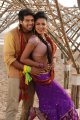 Arya Amala Paul Hot with Arya @ Bhale Thammudu Movie Stills