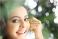 Actress Bhama Photo Shoot Gallery