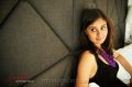 Bhanu Sri Mehra Latest Hot Photo Shoot Stills