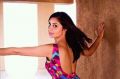 Actress Bhanu Sri Mehra Hot Photo Shoot Stills