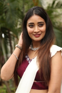 Kalasa Movie Actress Bhanu Sri Pictures