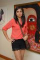 Bhanu Sri Mehra New Hot Pics at Muse Art Gallery