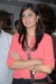 Actress Bhanu Sri Mehra New Photos