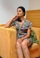 Bhanu Sri Mehra Hot Photo Shoot Pics