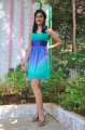 Bhanu Sri Mehra Hot Pics in Sleeveless Frock