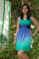 Bhanu Sri Mehra Hot Pics in Sleeveless Frock